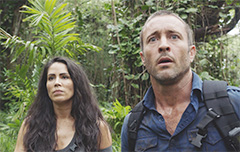 Hawaii Five O Season8 関西テレビ放送 カンテレ