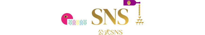 SNS