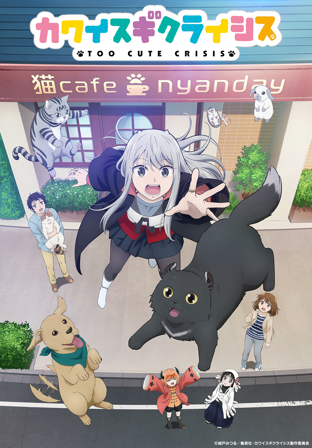 カワイスギクライシス