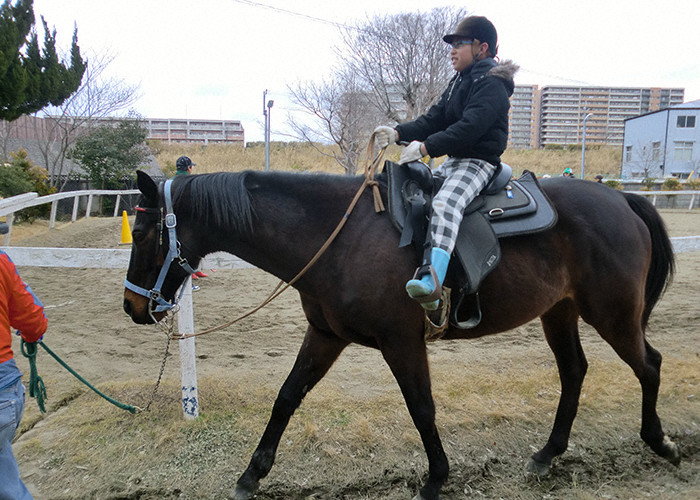 乗馬体験