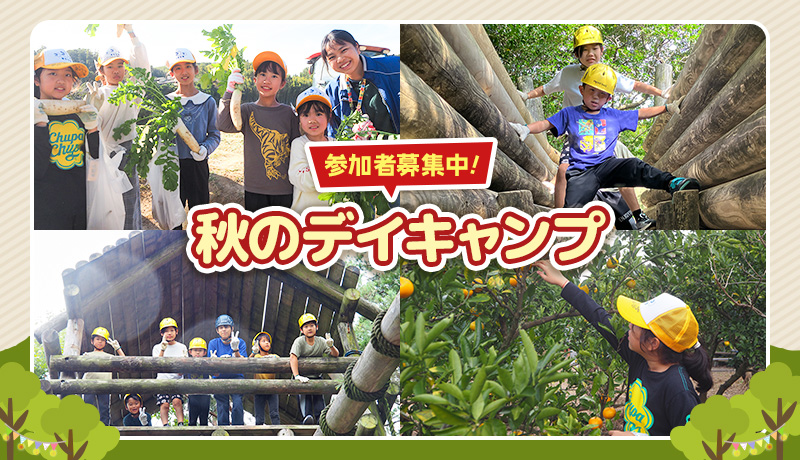 秋のデイキャンプ 参加者募集中！