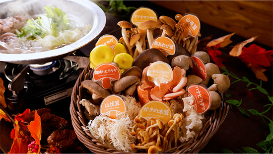 10種の厳選キノコを使用したキノコ鍋