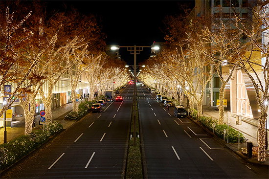 表参道 フェンディ イルミネーション 2025