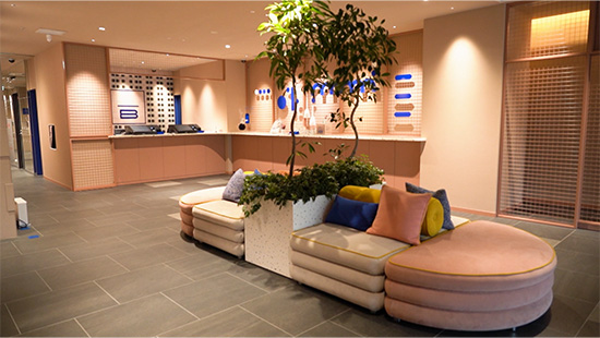THE BASEMENT