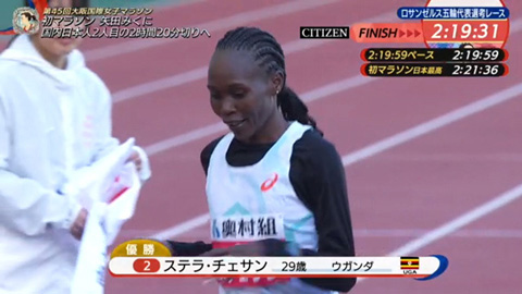 ステラ チェサン