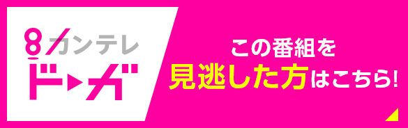 カンテレドーガ この番組を見逃した方はこちら！
