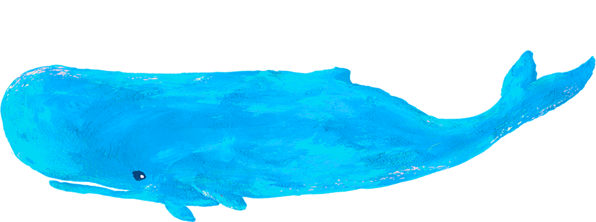 マッコウクジラのイラスト