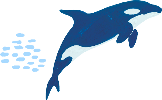 シャチのイラスト