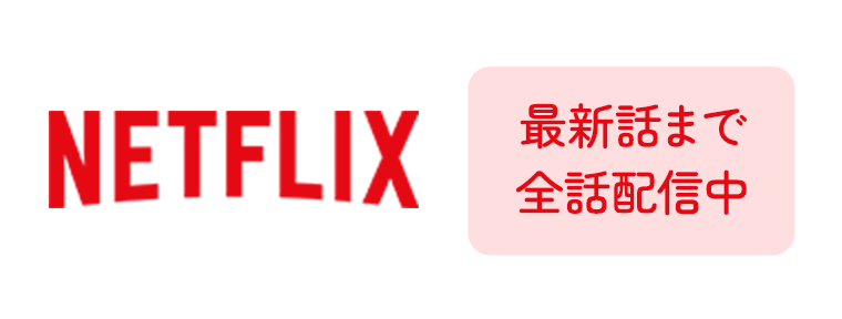 NETFLIX 最新話まで全話配信中