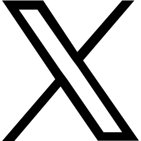 公式X
