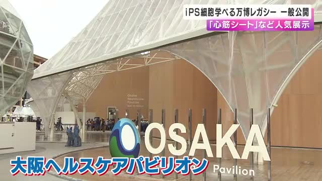 「心筋シート」など　ヘルスケアパビリオン展示物が一般公開