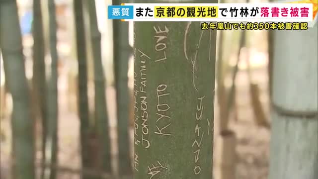 “KYOTO LOVE”は愛じゃない...京都・伏見の竹林にアルファベットや中国語・韓国語で落書き　嵐山に続き有名観光地で悲劇　所有者「心に刻んでほしい」