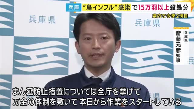 ニワトリ約15.5万羽を殺処分へ　兵庫県で今シーズン2例目の鳥インフルエンザ感染確認