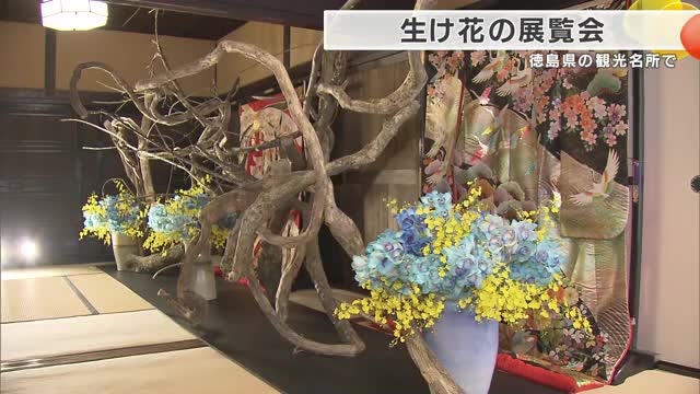 ひなまつりを花で表現　観光名所「うだつの町並み」で生け花展　假屋崎省吾さんの華やかな作品並ぶ　徳島・美馬市