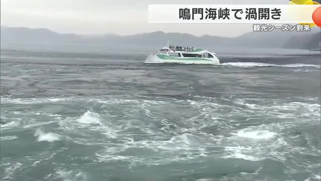 鳴門海峡に黄金の鍵　春の大潮シーズン到来「渦開き」　直径20メートル級の大渦に観光客は歓声　徳島