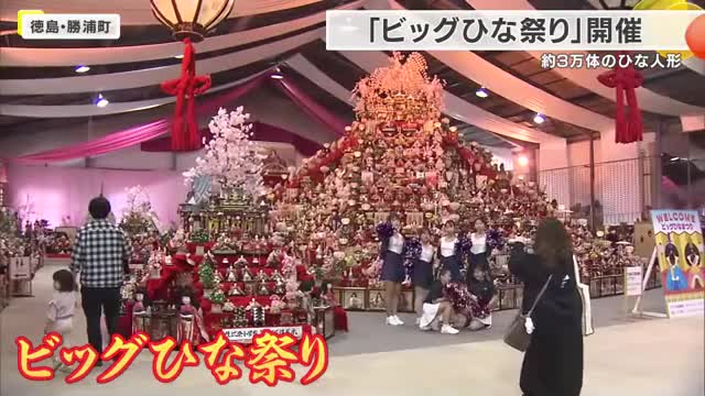 高さ8メートル100段の巨大ひな壇が登場　ひな人形がずらり約3万体　38回目の「ビッグひな祭り」開幕　徳島・勝浦町
