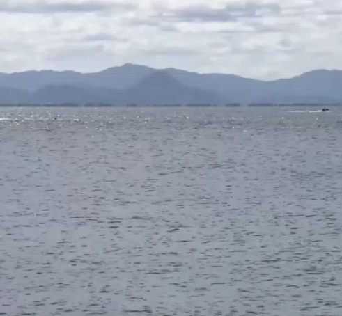 ウインドサーフィン中の大学生8人が漂流　「強風にあおられている」と湖上から110番通報　クラブ活動中の男女8人がトラブル　約1時間後に全員救助も1人ケガ　滋賀・琵琶湖