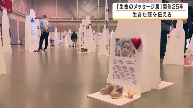 「生命のメッセージ展」今年で25年…等身大パネルと靴が語る生きた証、150人の「メッセンジャー」が問いかける命の重さ