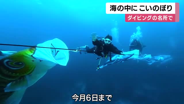 海の中を泳ぐ「こいのぼり」　ダイビング名所で15匹が登場　こどもの日を前にGW限定の水中展示　和歌山・串本町の