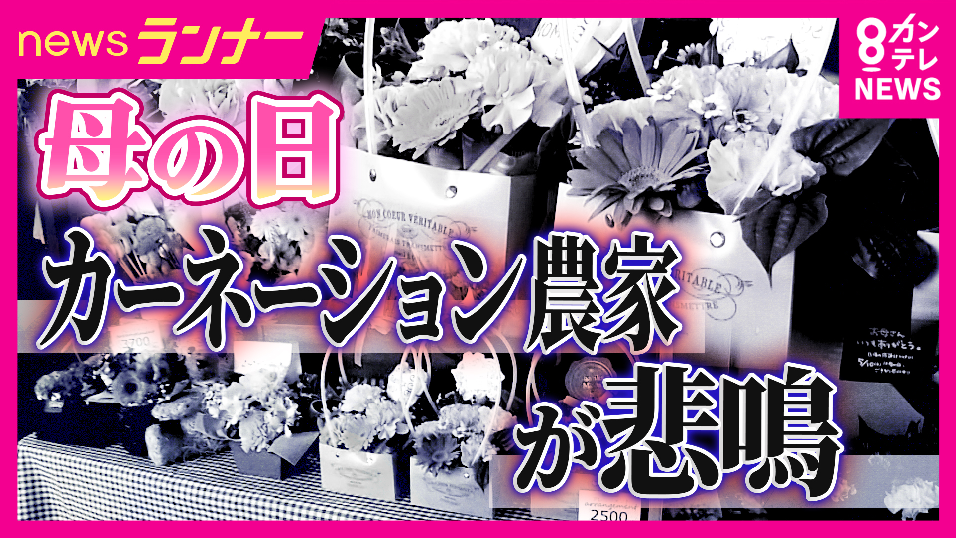 「母の日」定番カーネーションに「異変」燃料費の高騰で仕入れ価格2割ほど高く…デパートでは「組み合わせを楽しむ」商品も 多様化する母の日 ...