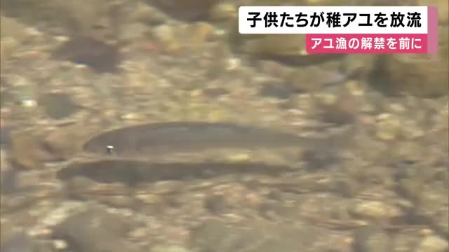 「大きくなるまで育ってほしい」アユの稚魚放流　地元の子どもたちが清流へ　6月1日にアユ漁解禁へ 　兵庫・養父市
