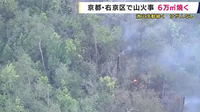 京都・右京区の山林火災　約６万平方メートル焼く　付近に住宅はなくけが人なし　京都市に火災注意報