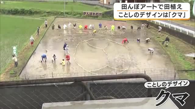 高齢化進む地域を元気に　田んぼアートの田植え　今年は「クマ」がテーマ　5色の古代米で描く巨大作品　京都・福知山市