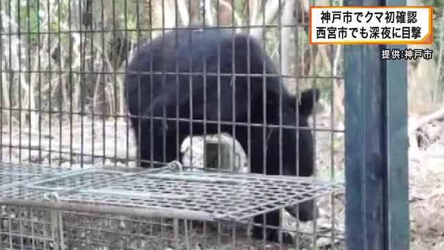 西宮市でクマの目撃が２件相次ぐ　神戸市は初確認を受けて捕獲のための檻を設置へ　