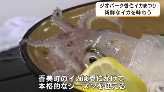 「スーパーのイカとは違う！」恒例・イカまつり開催　生きたイカを自分さばいて実食　参加者も「格別」「甘い」と絶賛　兵庫・香美町