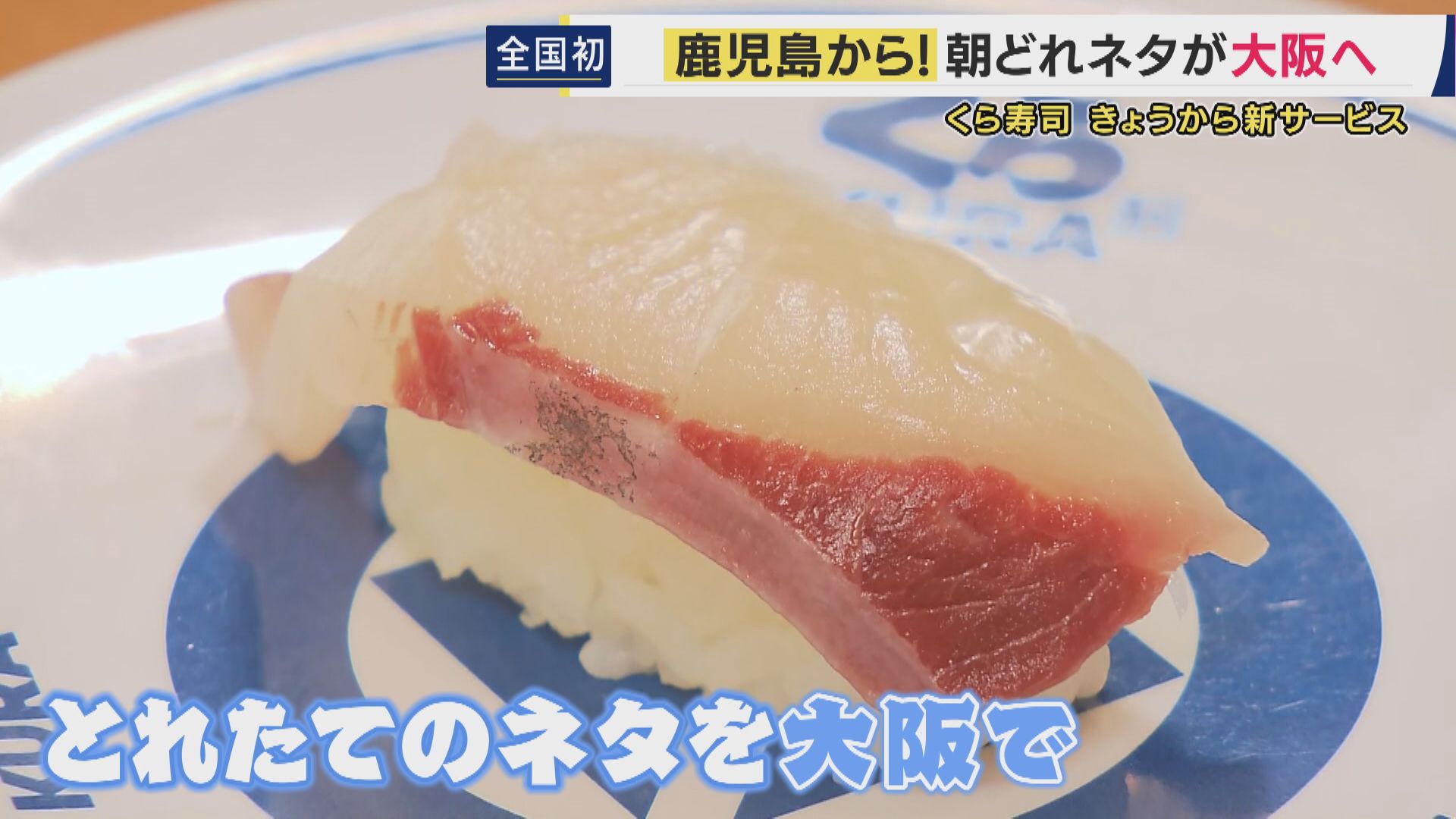 新幹線で輸送「朝に鹿児島でとれた魚」をその日のうちに「大阪」で　トラックに比べ40時間も短縮　くら寿司で全国初のサービス　「大阪にいながら鹿児島に旅行した気分に」
