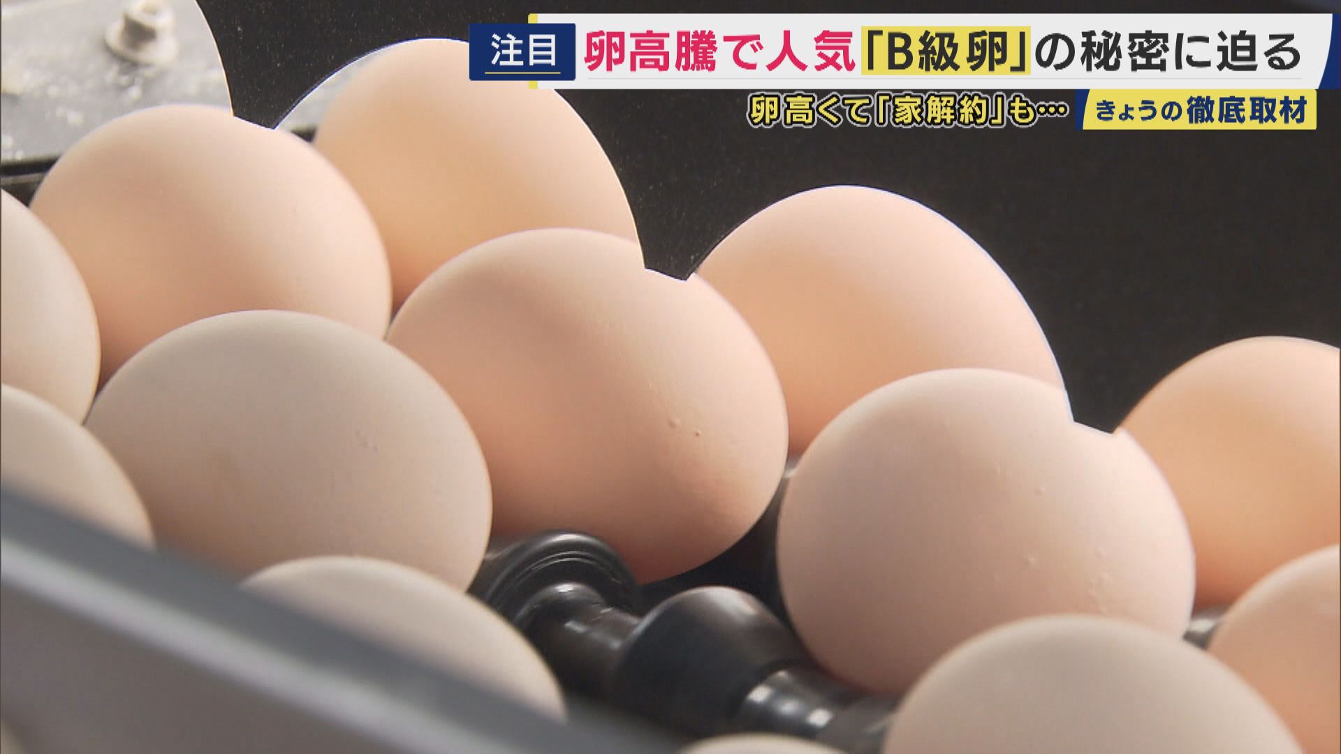 「30個で650円」通常品のほぼ半額　お得な“加熱用・チョイ割れB級卵”が人気　スーパーでは「10個入り税込み340円超」も　“物価の優等生”のハズが　卵の価格高騰続く　地震でさらに値上がりの恐れも