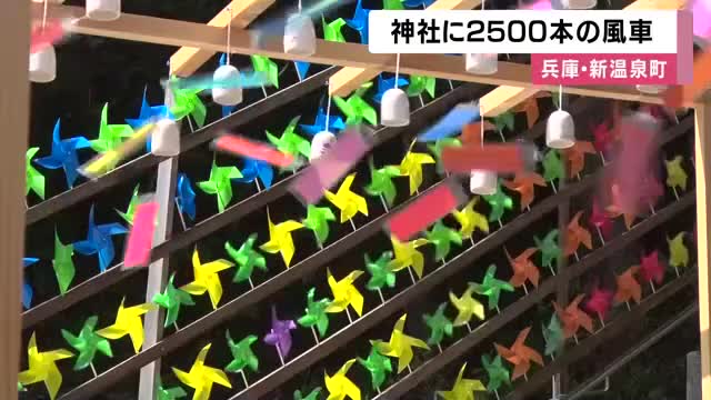 参道に2500本の風車がずらり　コロナ禍の「気分転換」から始まった神社の風景　SNSで人気の「映えスポット」に　兵庫・新温泉町