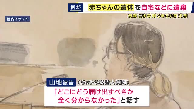 「どこに届け出ればいいか分からなかった」赤ちゃん2人の遺体を遺棄した罪に問われている母親　検察側は拘禁刑2年6カ月求刑