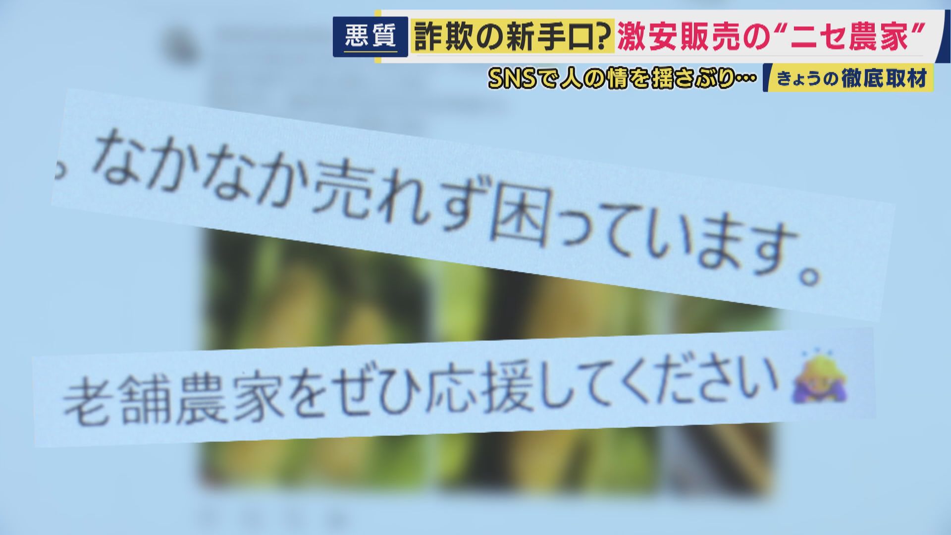 実在する農園の名を悪用も…SNSに潜む“ニセ農家”に注意　「不自然に安い価格は詐欺を疑って」　収穫期を迎えた旬のフルーツが標的に
