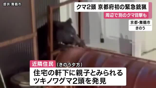 ツキノワグマ2頭「緊急銃猟」によって駆除　別のクマの目撃も相次ぎ市が注意呼びかけ　京都府内での緊急銃猟は初めて　京都・舞鶴市