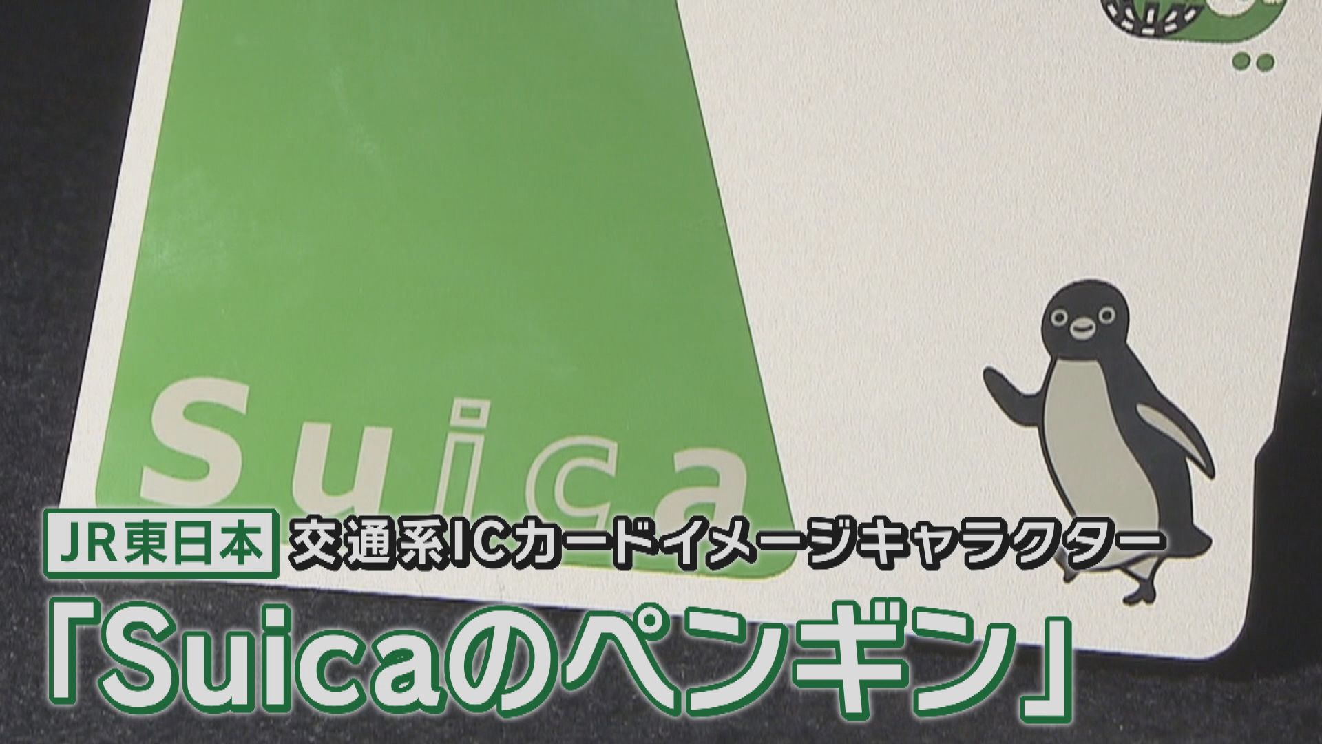 『Suicaペンギン』が惜しまれつつも卒業　後任キャラは「リス・ウサギ・架空の動物」の3候補　イマドキのキャラクター"流行りポイント”は「ストーリー性」と専門家　思い切ったキャラクター変更の裏側とは？