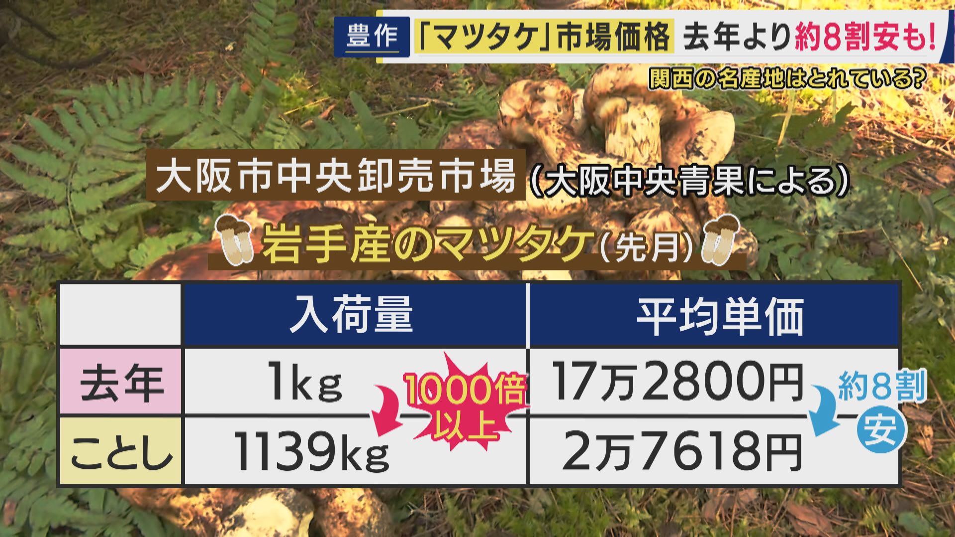 よう生えとんな、どうしたんや急に！？」 秋の味覚「マツタケ」が記録
