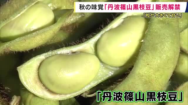 「粒が大きくて甘い」　特産『丹波篠山黒枝豆』の販売解禁　秋の味覚を求めて長い行列　今月下旬まで収穫が続く見込み
