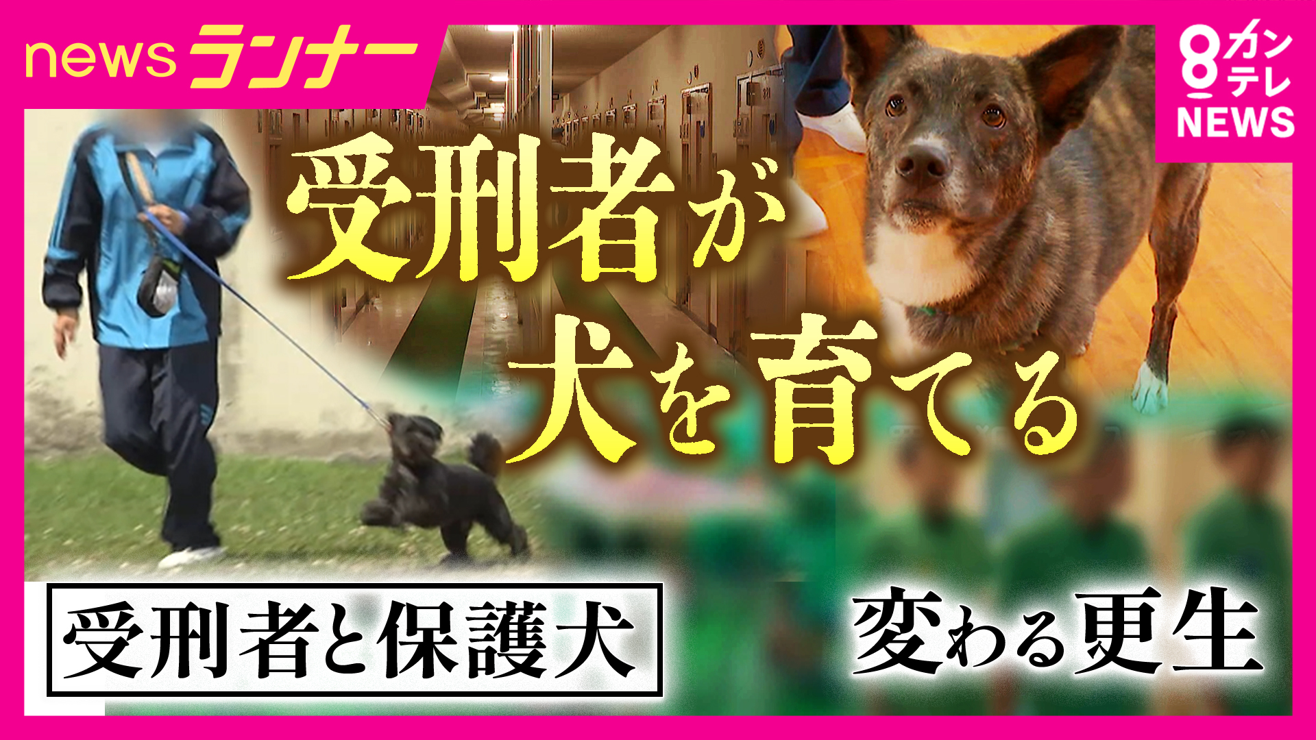 「自分と重なる部分がある」　受刑者による「保護犬育成プログラム」で再犯防止に繋げる狙い　一筋縄ではいかない更生も…互いに変化