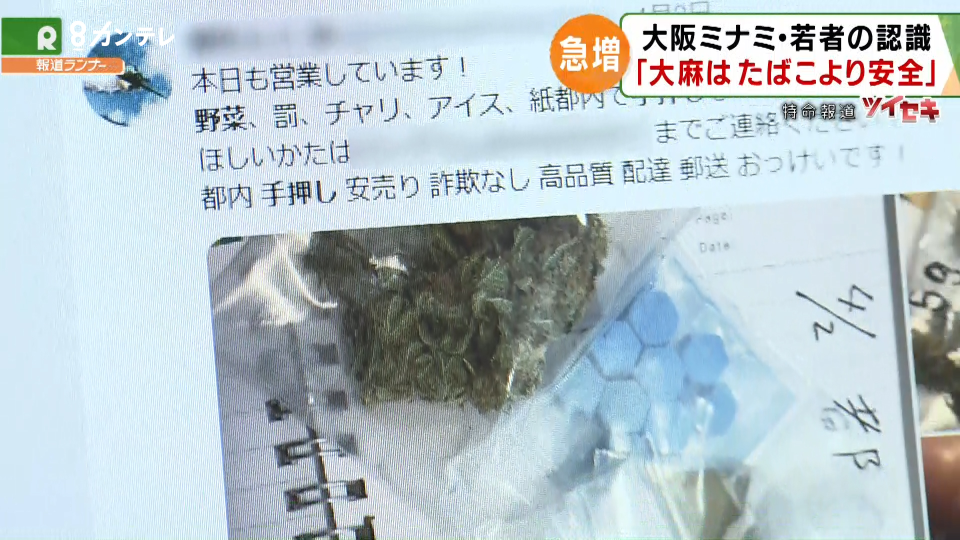 隠語 大麻 大麻のハイに3段階！？「あなたのハイレベルはどのタイプ？」