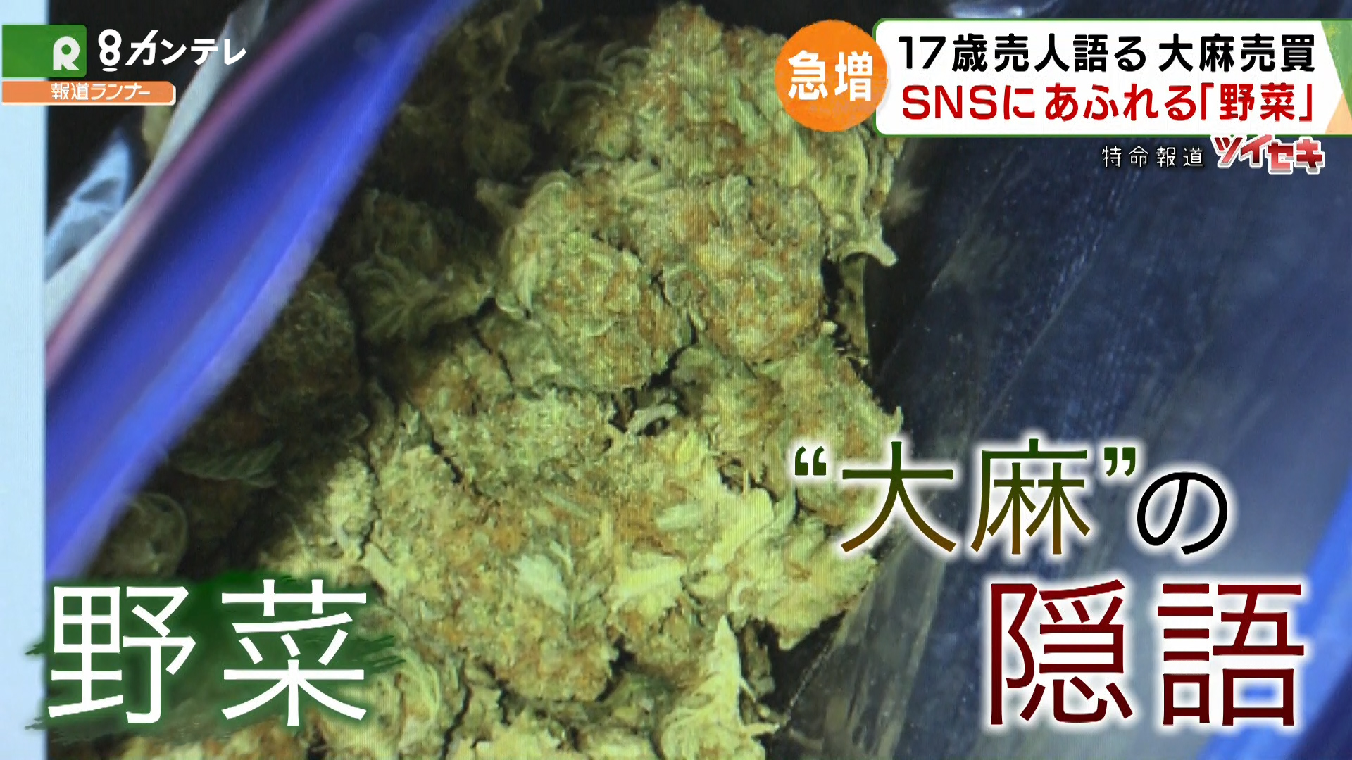 特命報道ツイセキ 野菜 売ります 大麻 の売買 隠語 を使いsnsで若者に広がる大麻 中には 17歳の売人 も 特集 報道ランナー ニュース 関西テレビ放送 カンテレ 特命報道ツイセキ 野菜 売ります 大麻 の売買 隠語 を使いsnsで若者に広がる大麻 中には 17歳の売人 も 特集 報道ランナー ニュース 関西テレビ放送 カンテレ