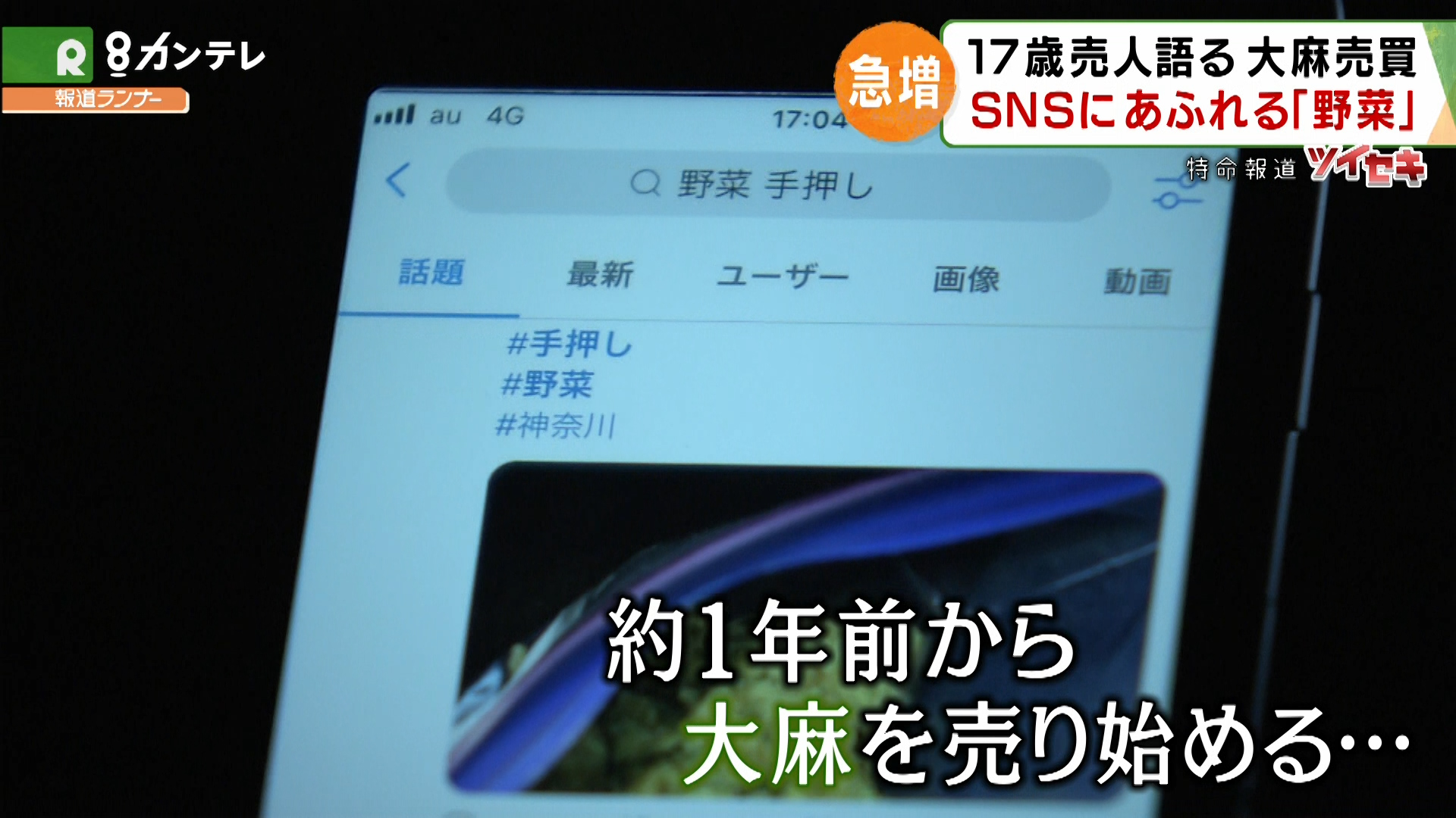 特命報道ツイセキ 野菜 売ります 大麻 の売買 隠語 を使いsnsで若者に広がる大麻 中には 17歳の売人 も 特集 報道ランナー ニュース 関西テレビ放送 カンテレ