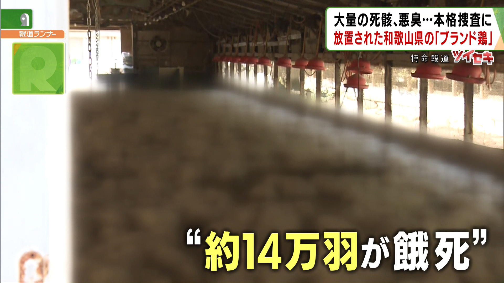 悪臭放つ14万羽の死骸、放置された大量のフンから火災も…和歌山県のブランド鶏「紀州うめどり」経営破綻の裏に「不可解な動き」