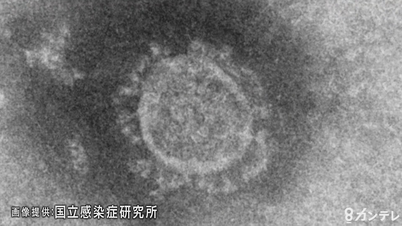 【首相官邸・厚生労働省】新型コロナウイルス感染症について