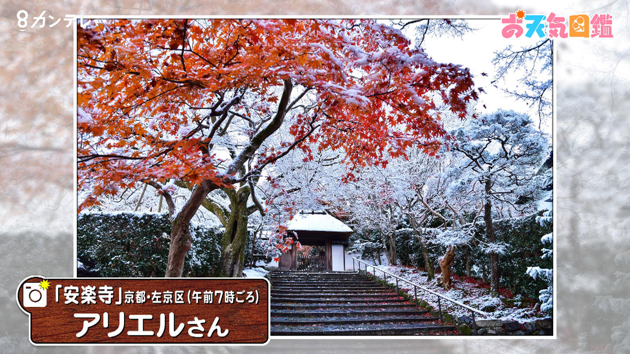 「紅葉と雪」（京都・左京区）