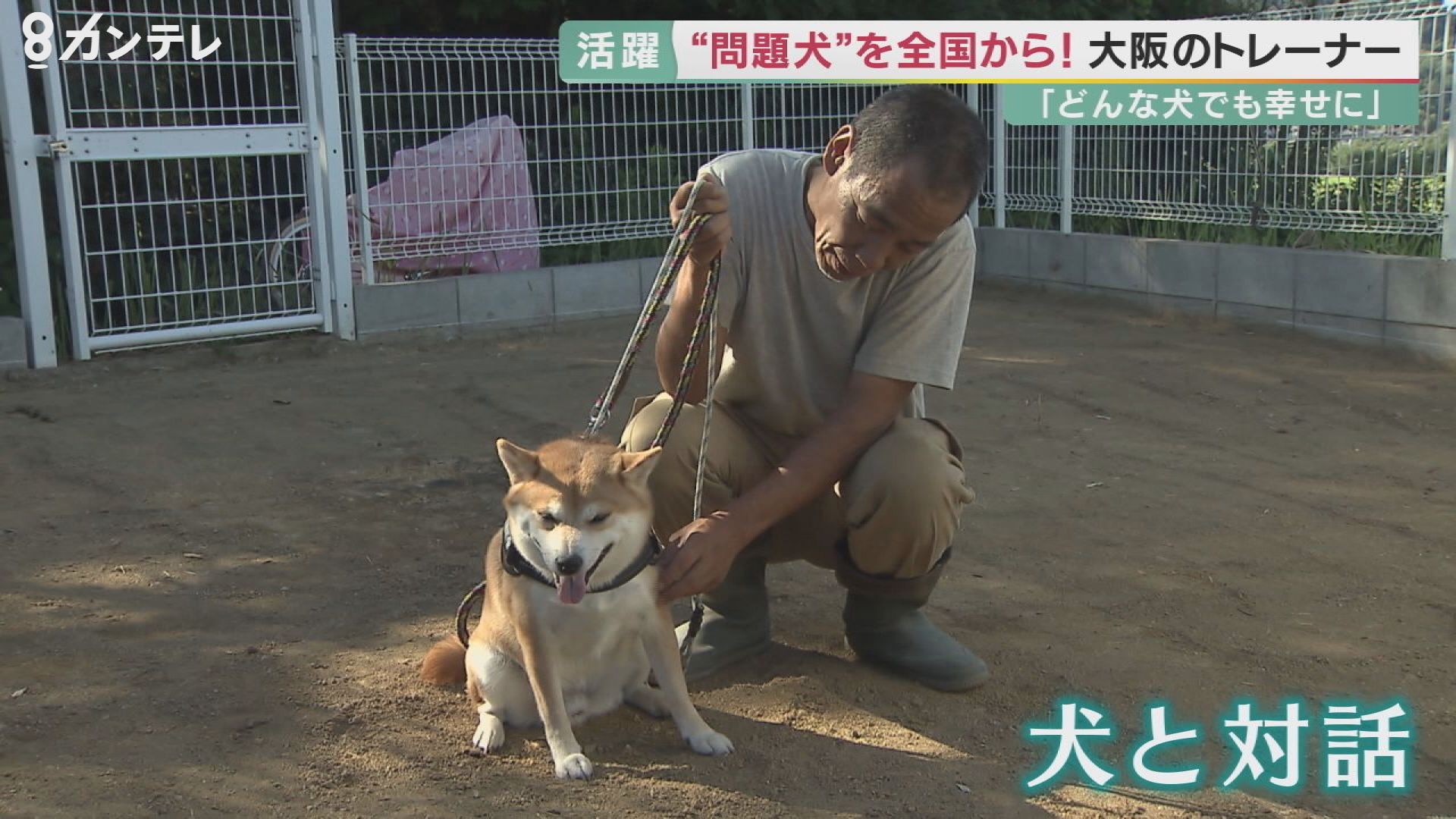 問題行動 専門のドッグトレーナー ポチパパ 犬と心通わし 目指す 殺処分ゼロ 特集 報道ランナー ニュース 関西テレビ放送 カンテレ