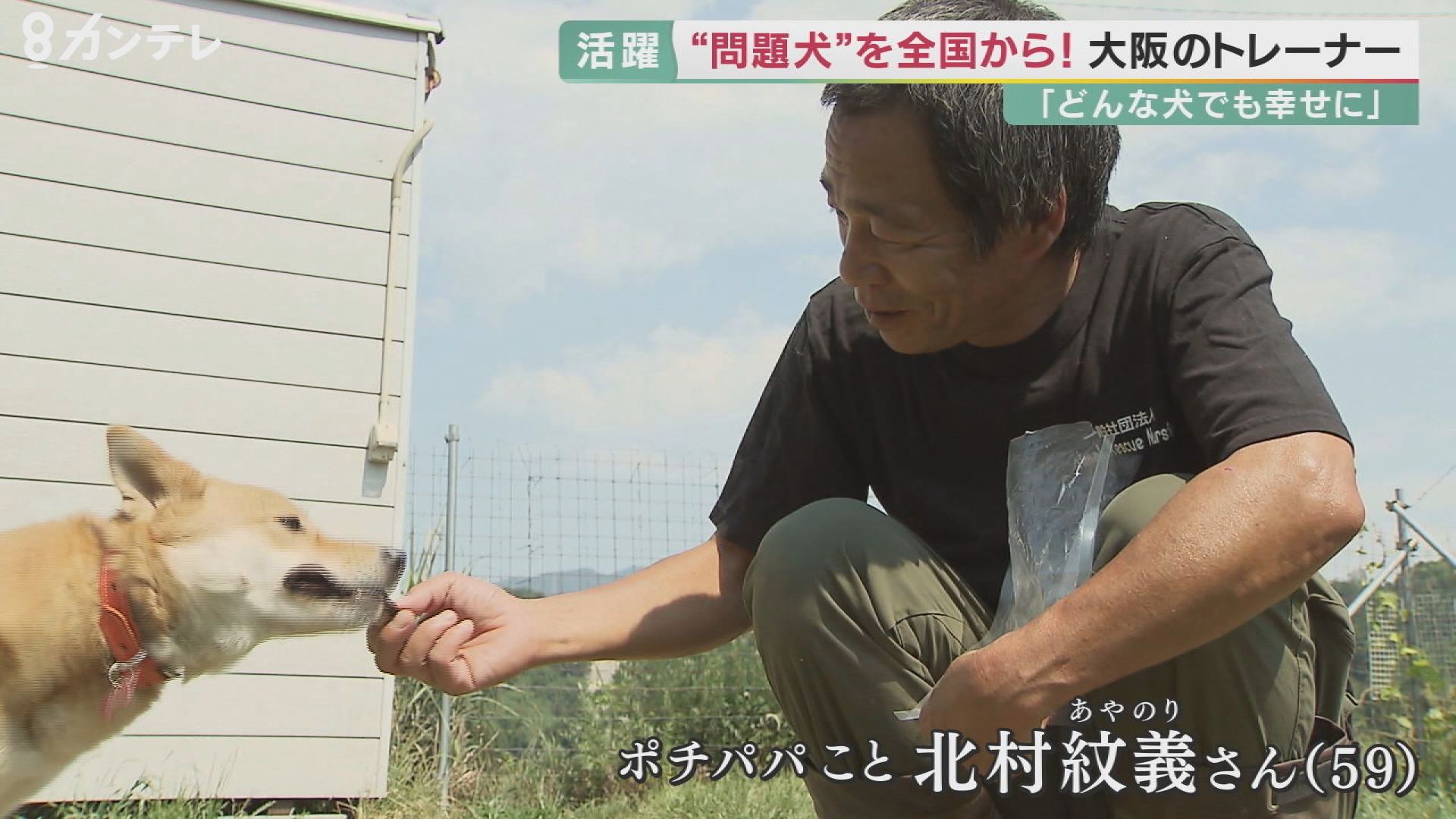 問題行動 専門のドッグトレーナー ポチパパ 犬と心通わし 目指す 殺処分ゼロ 特集 報道ランナー ニュース 関西テレビ放送 カンテレ