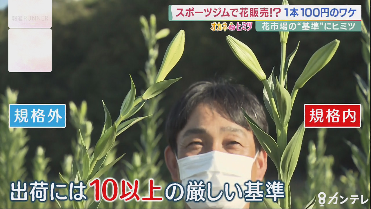ギフトから自宅用へ 花のニーズに変化 食べられる花 は売上5倍も ヒットにワケあり オカネのヒミツ 特集 報道ランナー ニュース 関西テレビ放送 カンテレ