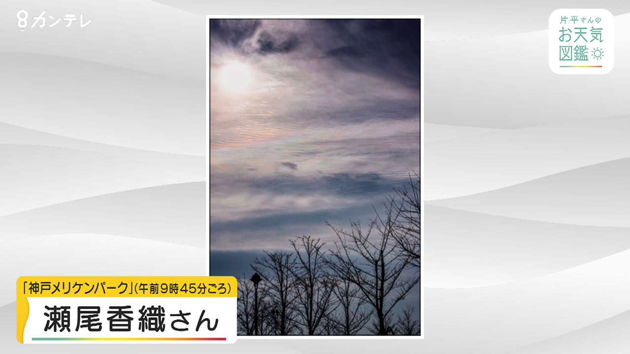 【お天気図鑑】神戸の朝を飾る彩雲