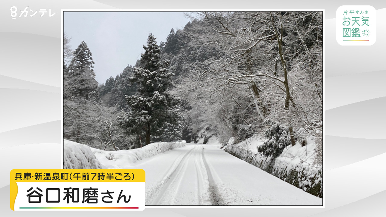 ［お天気図鑑］冬の通勤路　雪が積もった蒲生峠　兵庫・新温泉町